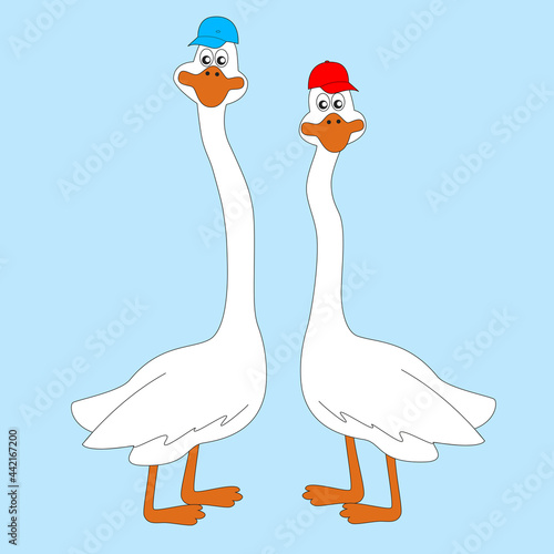 Two white geese with caps on their heads.