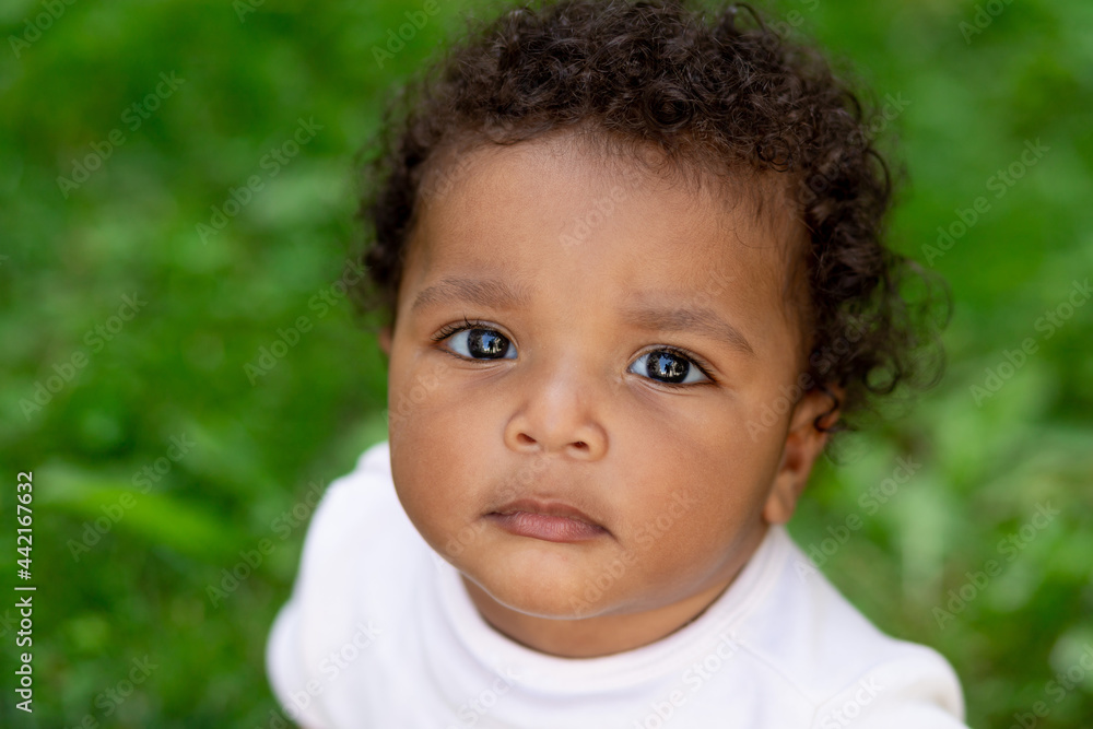 portrait of a cute African-American baby boy on a green grass lawn in summer portrait of a cute African-American baby boy on a green grass lawn in summer