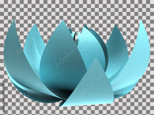 lotus flower