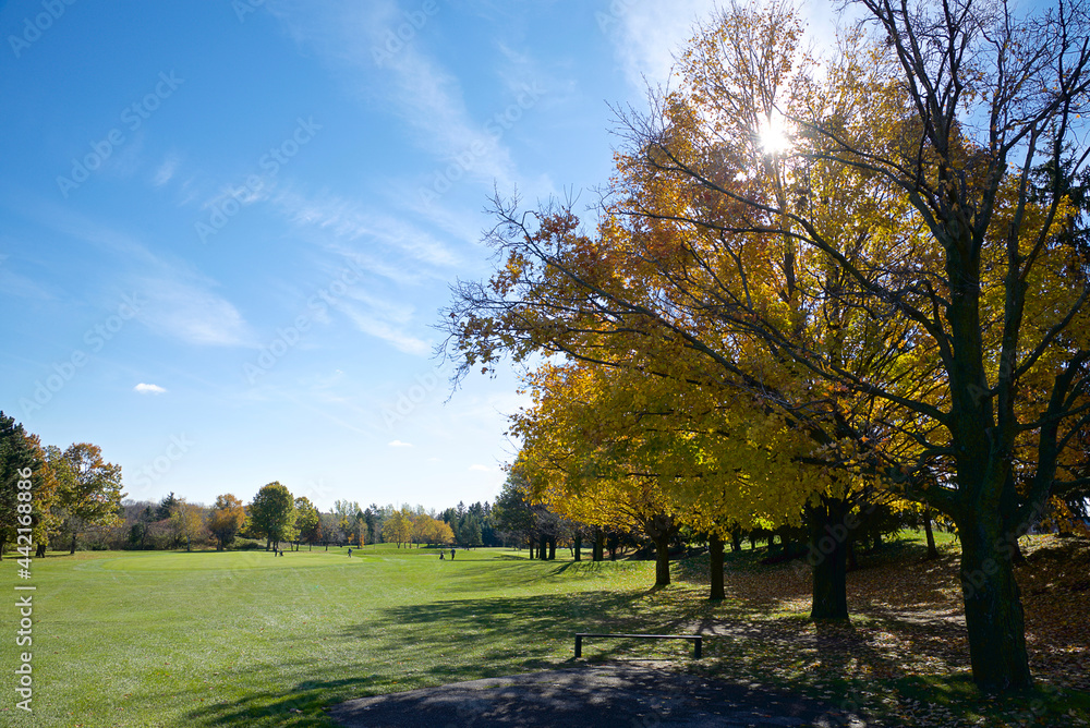 The golf course in autumn with lens flare The golf course in autumn with lens flare