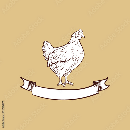 Vector Chicken sketch with vintage banner  retro style emblem template  engraving drawing. 
