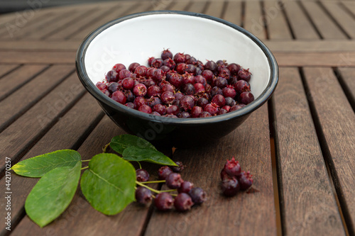 Beeren in der Schüssel