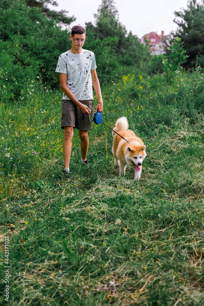 A young man walks in a summer park with a young puppy of a dog Akita. Different. The concept of friendship between a man and a dog.