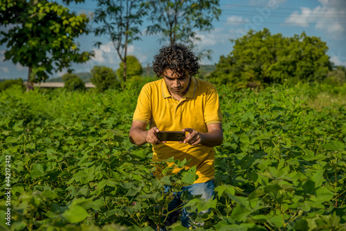 Young man farmer in a cotton farm talking or using mobile.