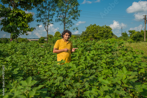 A young man farmer in a cotton farm examines and observing the field.