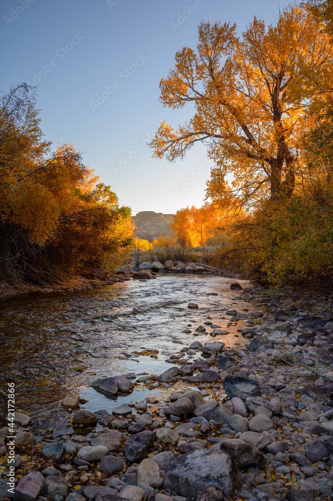 Mountain stream at sunrise Mountain stream at sunrise