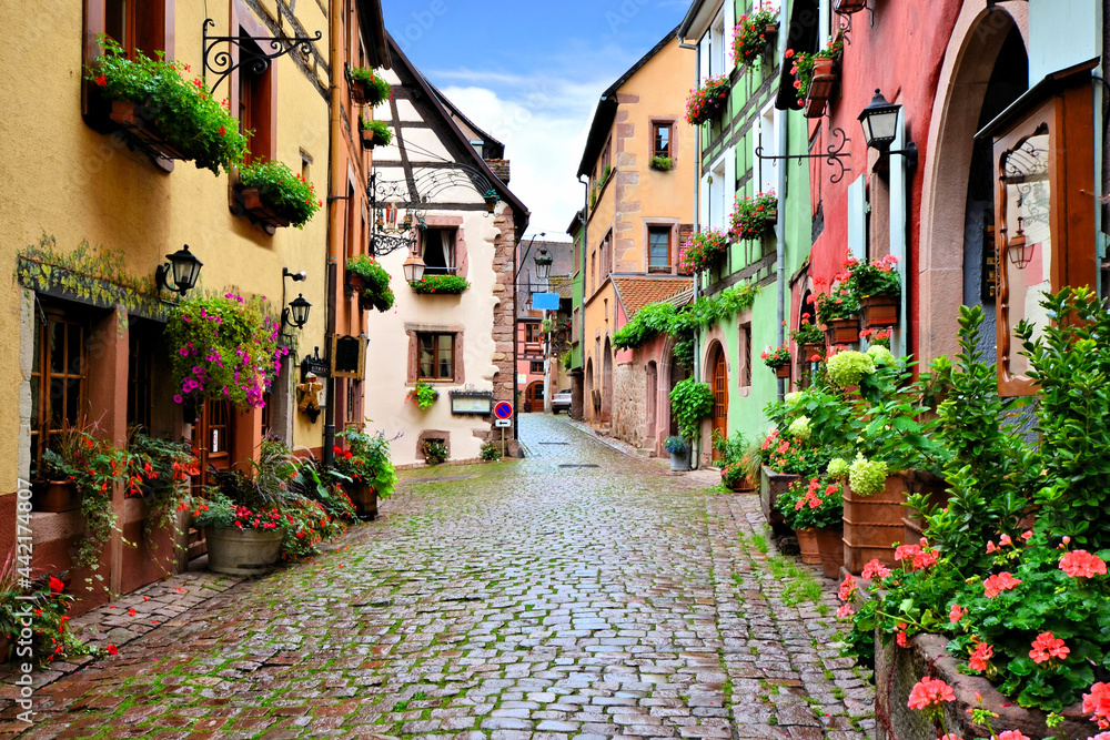 Quaint colorful cobblestone lane in the Alsatian town of Riquewihr, France