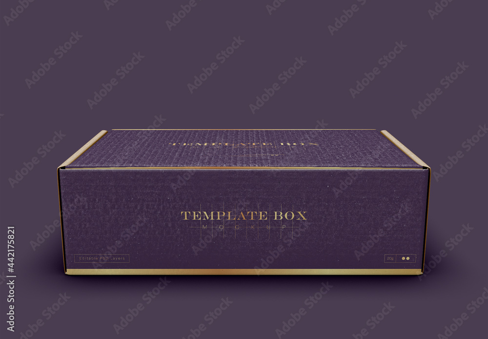 Cardboard Box Mockup Stock Template | Adobe Stock