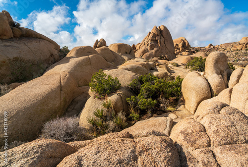 View of the Rock Formations at Joshua Tree National Park