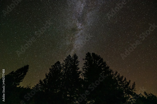 Night dark sky with milky wat many stars galaxy in Spruce Knob Lake in West Virginia with silhouette of tall green pine trees low angle view looking up