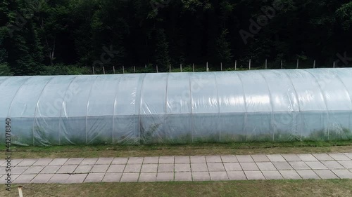 Hothouse, industrial greenhouse, modern agriculture concept. Greenhouses covered with transparent film of growing vegetables and fruits. A small polycarbonate greenhouse outside. photo