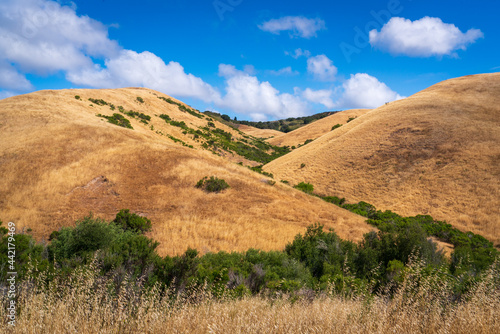 Fort Ord National Monument in California