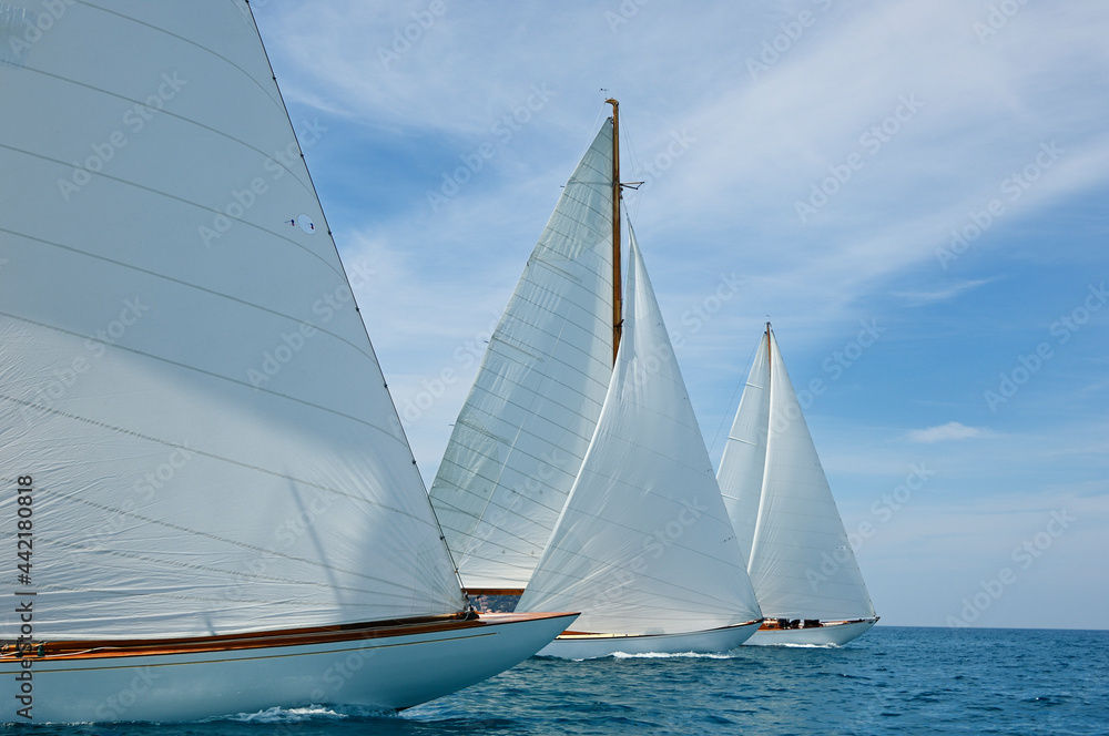 sails in the wind in the mediterranean sea