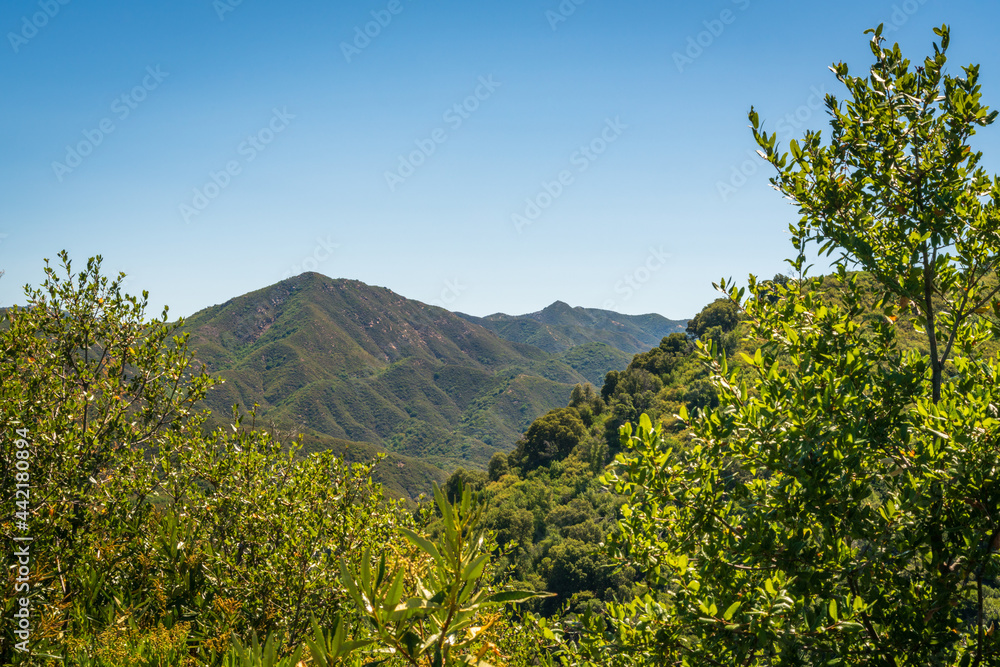 Fototapeta premium Los Padres National Forest, California