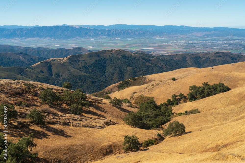 Naklejka premium Fremont Peak State Park in California