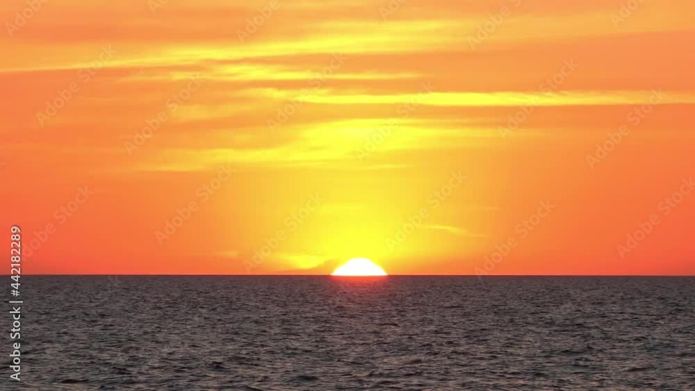 Silhouettes of birds are passing against the background of a magnificent golden sunset over the leaden sea boundless distance Silhouettes of birds are passing against the background of a magnificent golden sunset over the leaden sea boundless distance