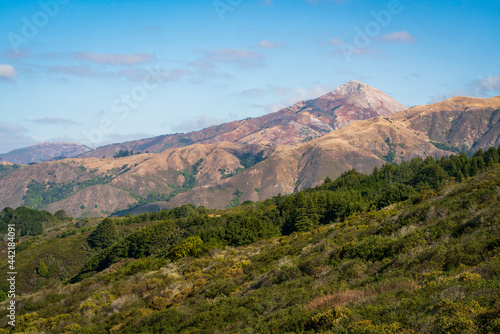 Andrew Molera State Park in California