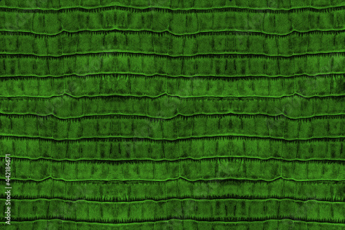 Bright green croc leather texture