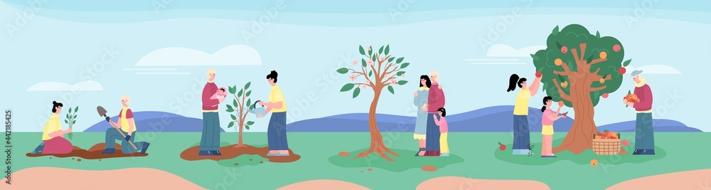 Life line of people and fruit tree from seed to harvest from large plant.