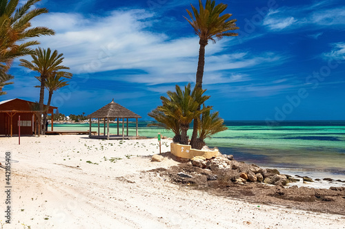 A beautiful view of the Mediterranean coast with birch water, a beach with white sand and a green palm tree.