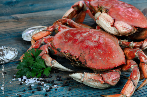 Freshly cooked crab with ingredients in close up view for seafood background