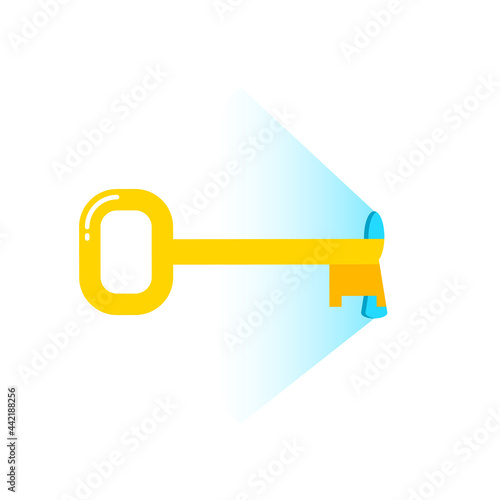 Key in keyhole icon. Clipart image isolated on white background