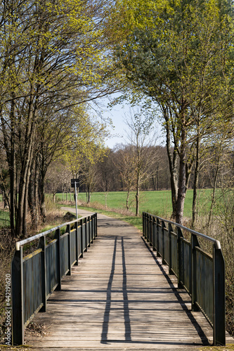 Bridge with green metal railing and wooden floor in the park