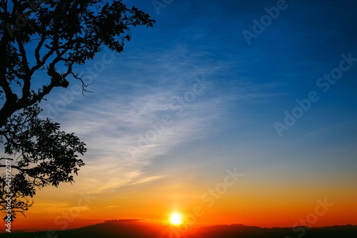 Silhouettes tree on top of mountain  at sunset