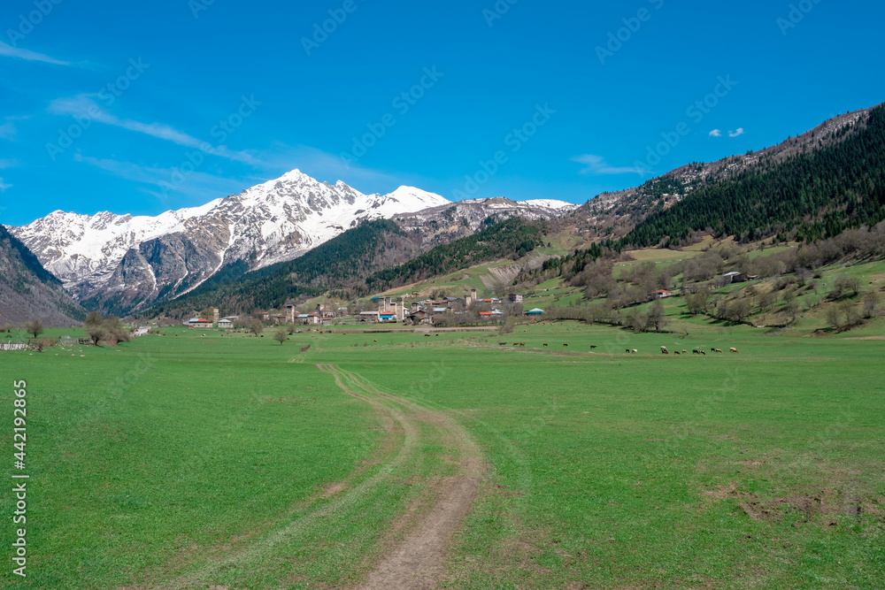 View of Mount Tetnuldi from Tsaldashi village, Svaneti, Georgia View of Mount Tetnuldi from Tsaldashi village, Svaneti, Georgia