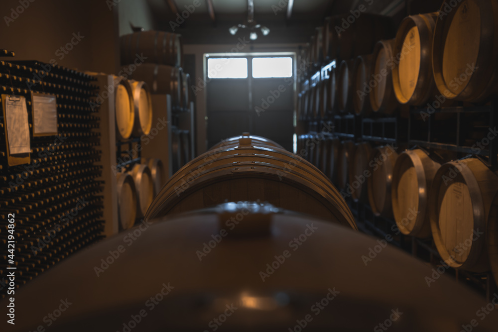 interior of a winery in Argentina interior of a winery in Argentina