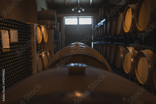 interior of a winery in Argentina photo