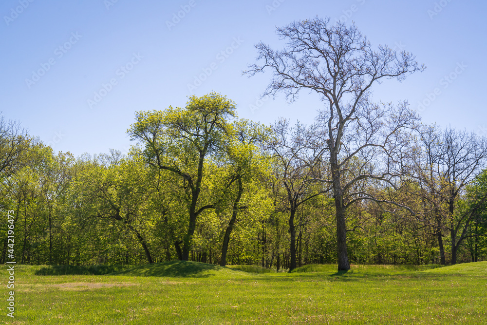 Hopewell Culture National Historical Park Hopewell Culture National Historical Park