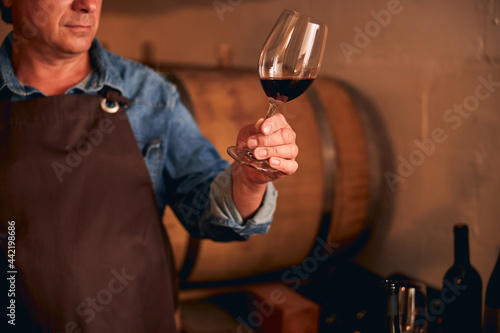 Male winemaker holding glass of red wine