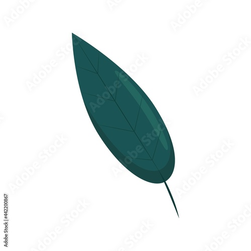 Willow leaf in flat style, vector illustration of bright autumn leaves, isolated.