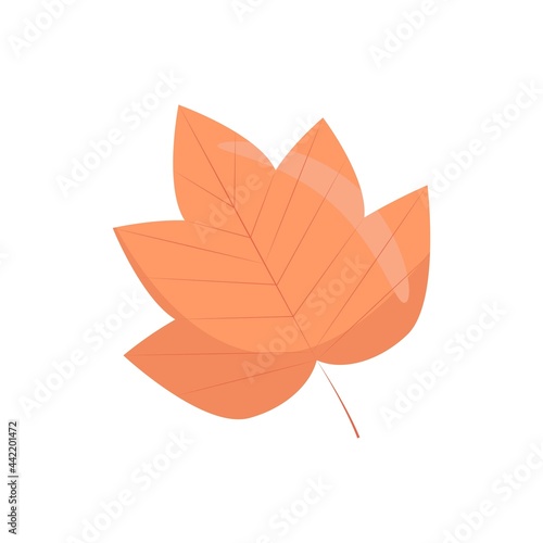 Maple leaf in flat style, vector illustration of bright autumn leaves, isolated.