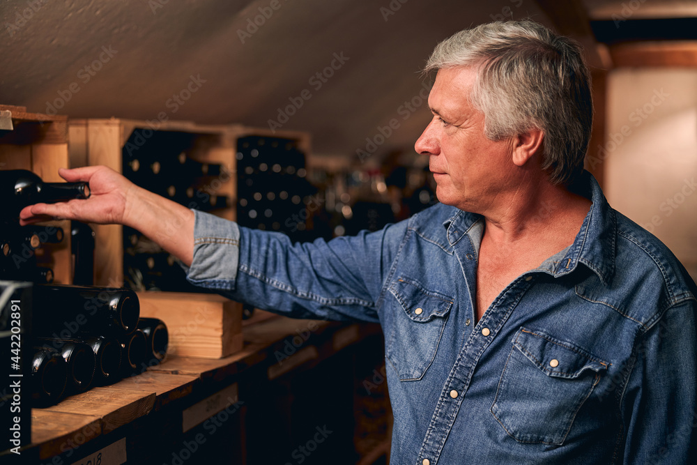 Mature sommelier choosing the best wine for his clients Mature sommelier choosing the best wine for his clients