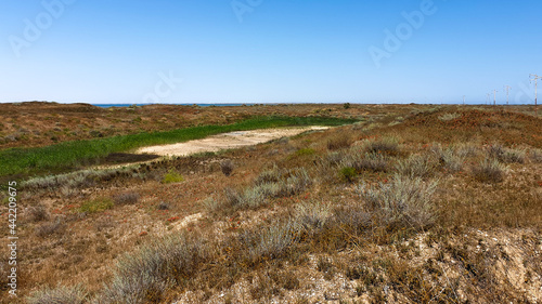 Absheron National Park created to preserve gazelles, Caspian seals and waterfowl living in this territory