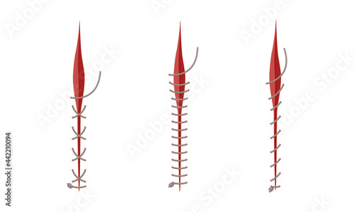 Baseball Stitches and Red Lace with Loop of Thread Isolated on White Background Vector Set