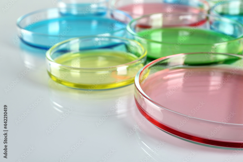Petri dishes with colorful liquids on white table, closeup Petri dishes with colorful liquids on white table, closeup