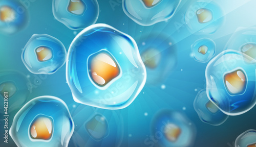 Cells under a microscope. Research of stem cells. Cellular Therapy. Cell division. Vector illustration on a light background