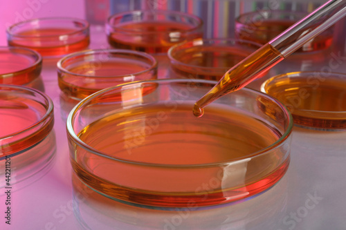 Dripping red liquid into Petri dish with sample on table, closeup