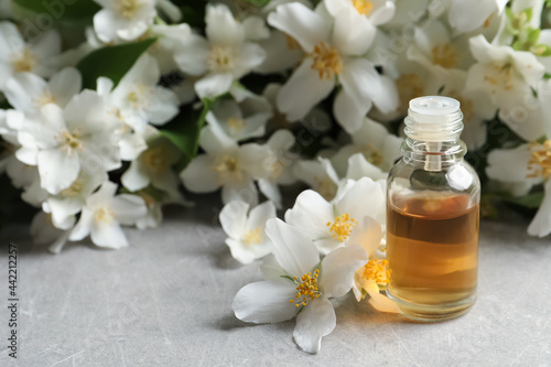 Jasmine essential oil and fresh flowers on light grey table  space for text