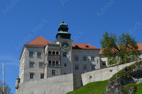 Zamek Pieskowa Skała, Szlak Orlich Gniazd, Polska photo