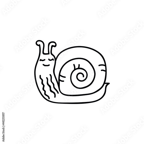 Single hand drawn snail. Doodle vector illustration. Isolated on a white background.