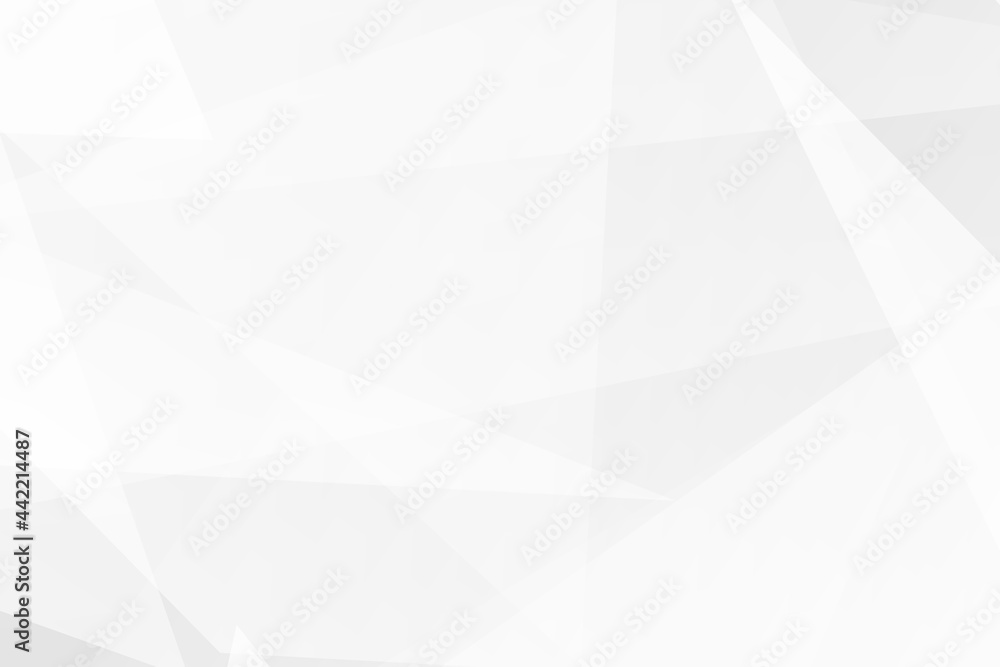 Fototapeta premium Abstract white and grey on light silver background modern design. Vector illustration EPS 10.