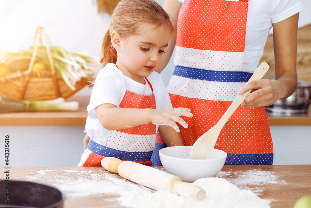 Happy woman and her daughter are kneading the dough and baking cookies for a delicious family feasting in sunny kitchen. Christmas, New year, Thanksgiving, Anniversary, Mothers Day. Healthy meal Happy woman and her daughter are kneading the dough and baking cookies for a delicious family feasting in sunny kitchen. Christmas, New year, Thanksgiving, Anniversary, Mothers Day. Healthy meal
