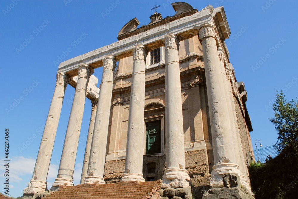 ruins of the ancient roman forum