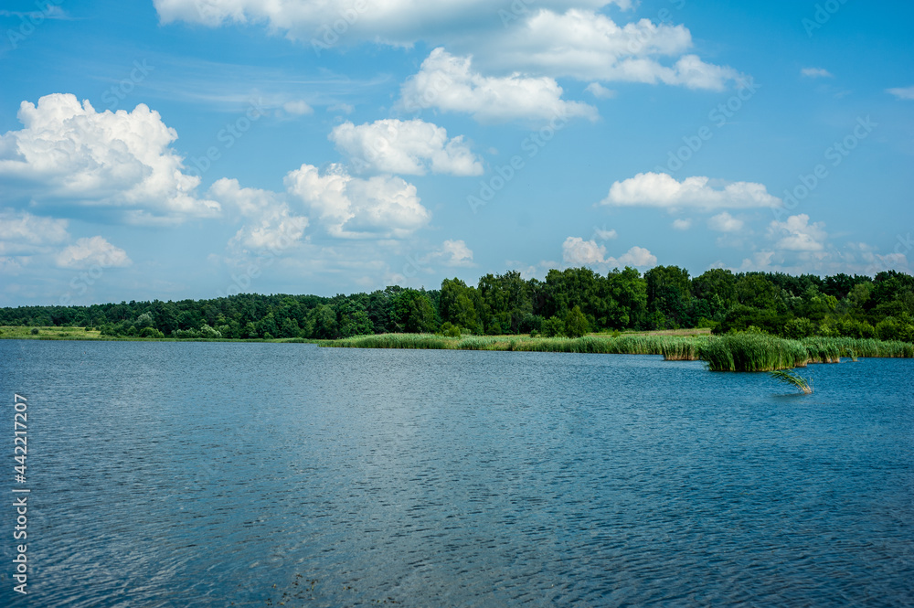 Panoramic landscape on a sunny day on the river with the sky in the clouds and the reflection in the water.