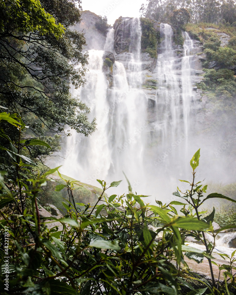 Obraz premium waterfall in the jungle