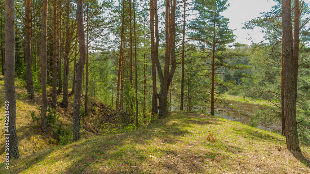 Fototapeta premium Tver Oblast, Russia